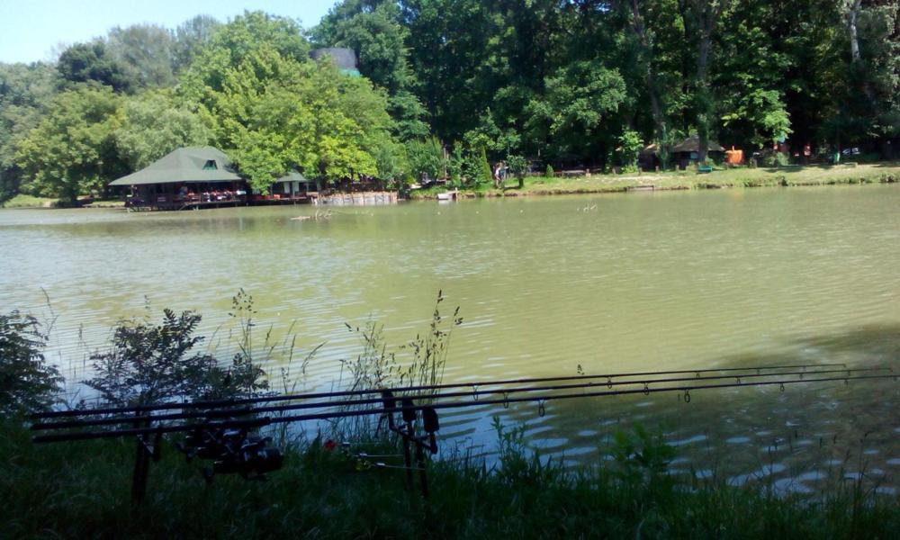 Monia Dream Apartment - Belgrade Lake & Fair Exteriör bild