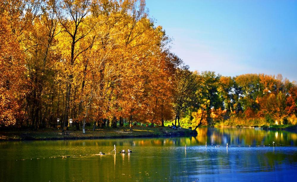Monia Dream Apartment - Belgrade Lake & Fair Exteriör bild